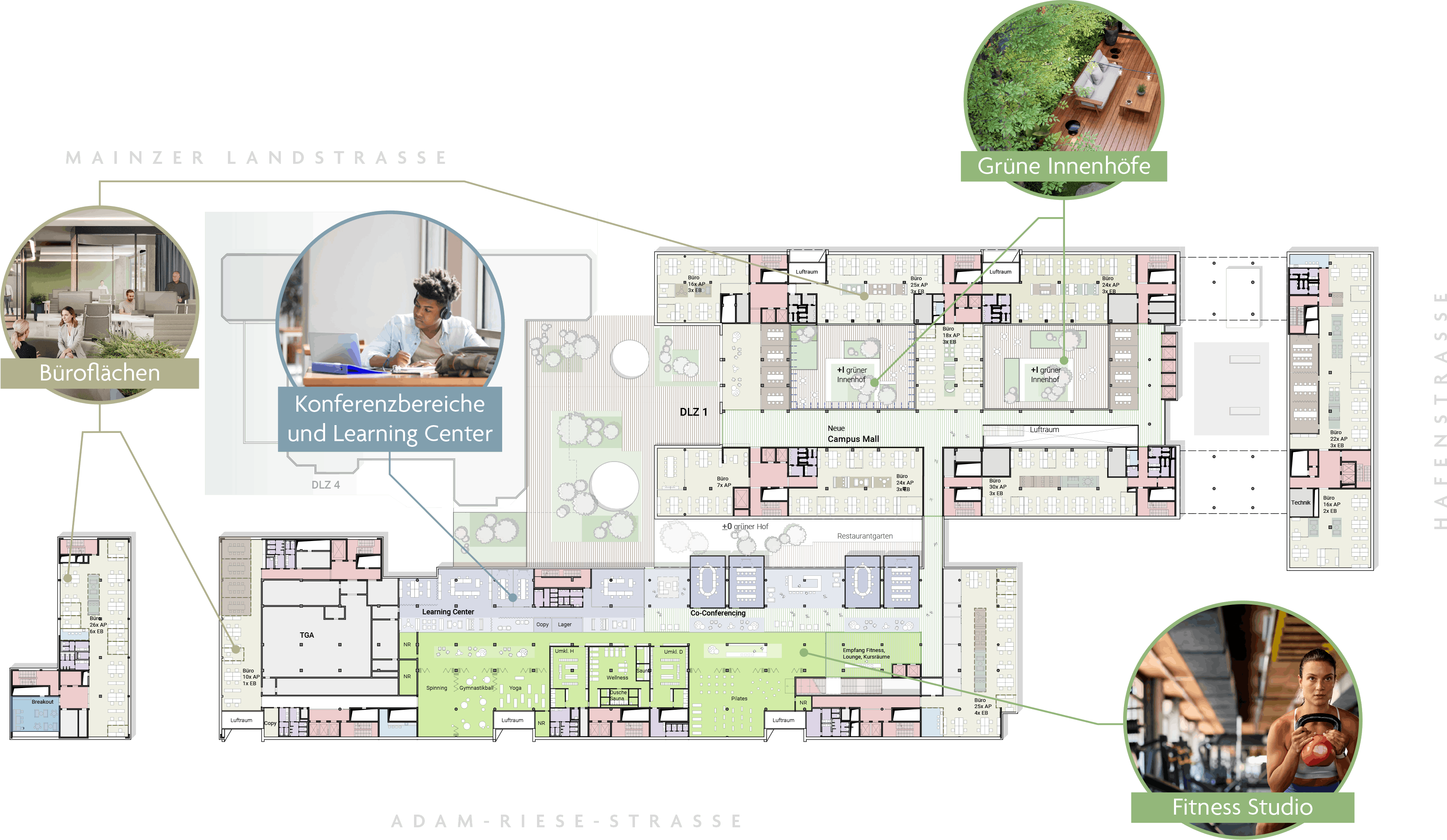 Grundriss des ersten Obergeschosses mit Learning Center, Fitness Studio und grünen Innenhöfen